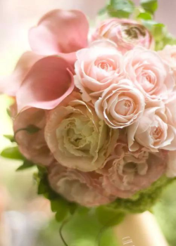 仙台市青葉区のピアノ教室