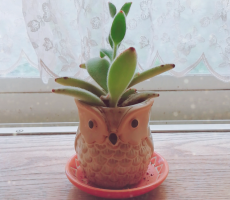 仙台市青葉区のピアノ教室